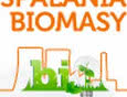 Forum spalania biomasy