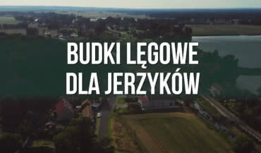 Malowanie budki lęgowej dla jerzyków